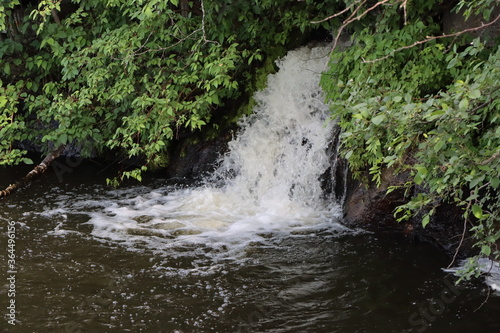 waterfall in the forest