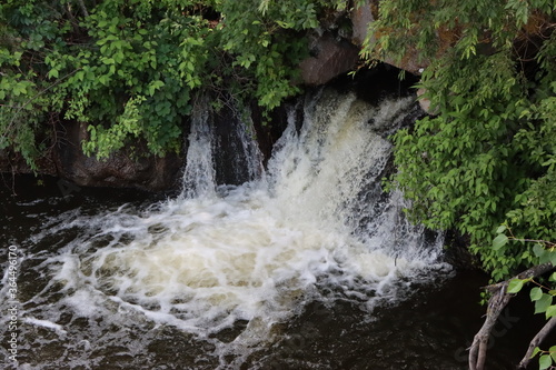 small waterfall in the forest