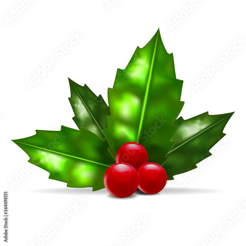 Realistic Detailed 3d Christmas Holly Berry. Vector