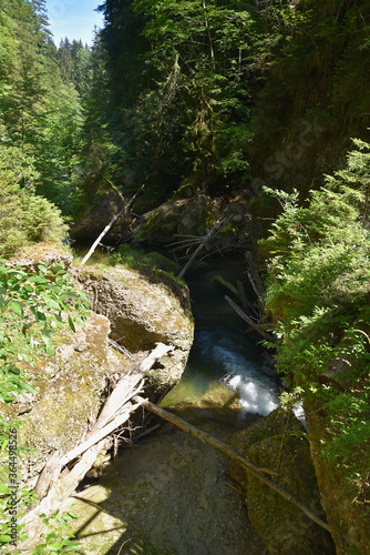 Flusslandschaft