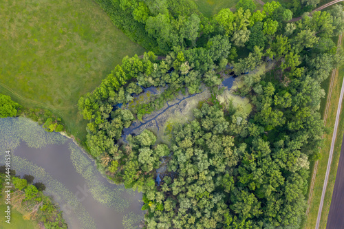 Morava river marshlands from top down view. Lush oasis of greenery concentrated around a body of muddy water with algae and water lilies to form a beautiful aquatic habitat.
