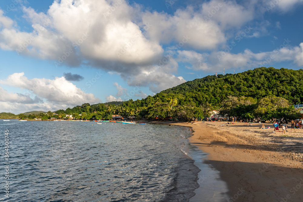 White sand beach in Trinite, Martinique, France