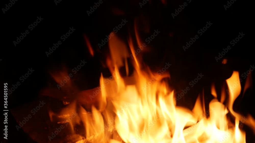 Bonfire. blazing fire, coals. video Bonfire. blazing fire, coals. video