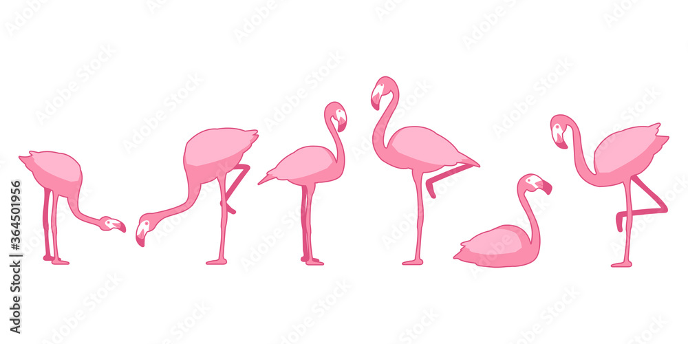 Fototapeta Set of Flamingo bird, Bird vector illustration, eps10 vector format.