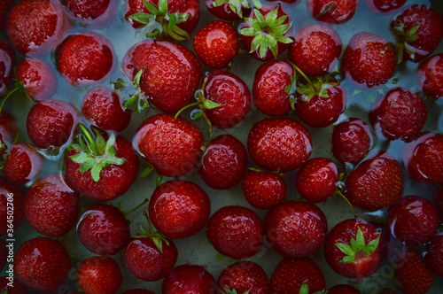 Ripe strawberries floating in the water