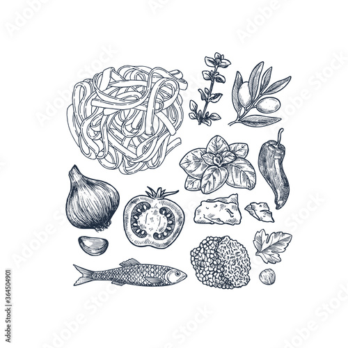 Tasty basil, tomato, olive, garlic, anchovy, truffle and pasta linear elements. Engraved illustration. Italian ingredients. 