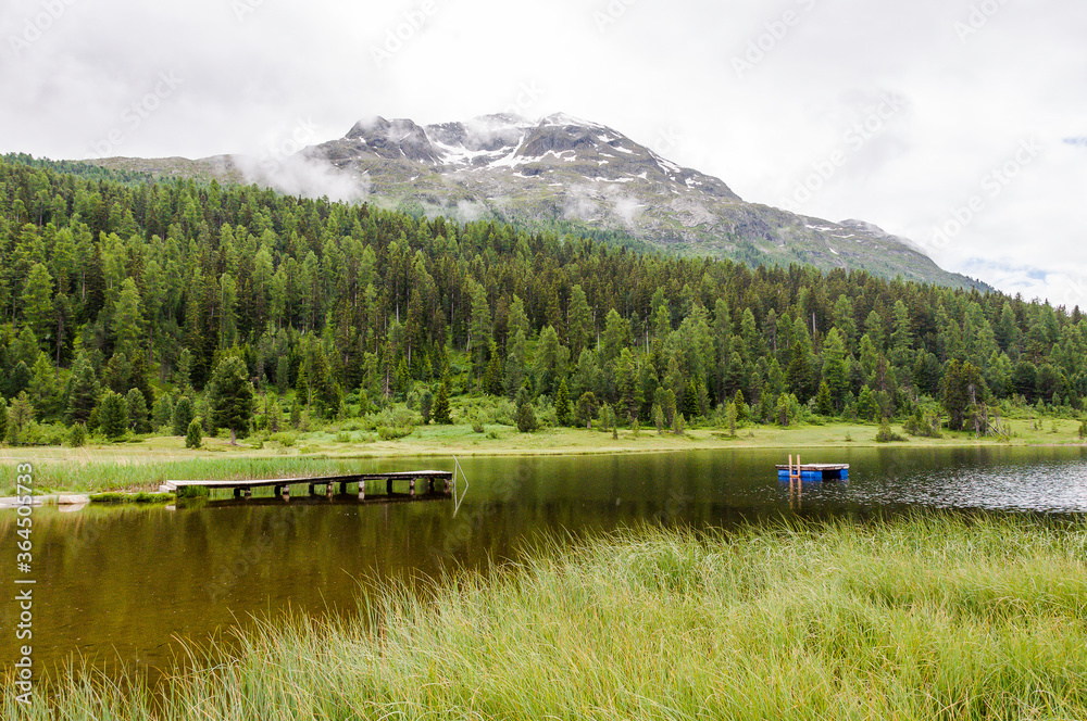 Fototapeta premium St. Moritz, Stazersee, Badesee, Bergsee, Lej da Staz, Holzsteg, Rosatschgruppe, Stazerwald, Pontresina, Oberengadin, Engadin, Alpen, Wanderweg, Sommer, Graubünden, Schweiz