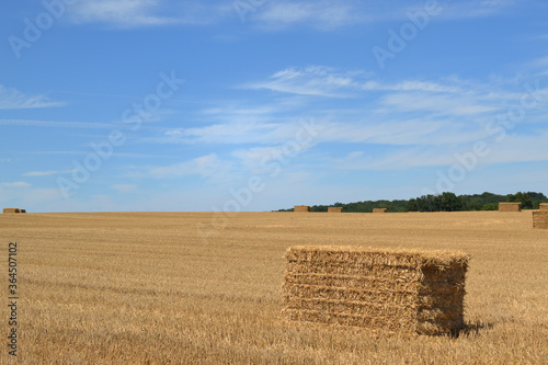 Botte de foin carrée dans un champ après la moisson photo