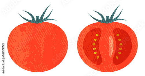 アクリル画風のトマトと断面