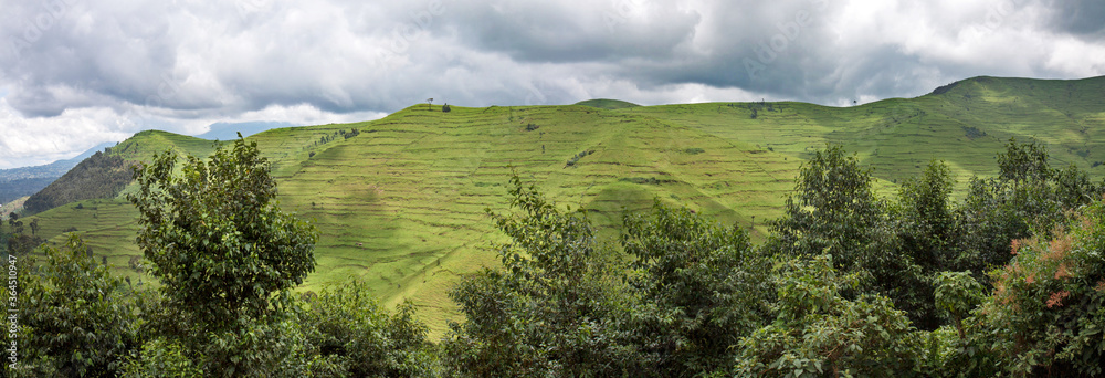 Deforested hills for cattle grazing in  the former Gishwati forest area in Northwestern Rwanda (Nyabihu district)