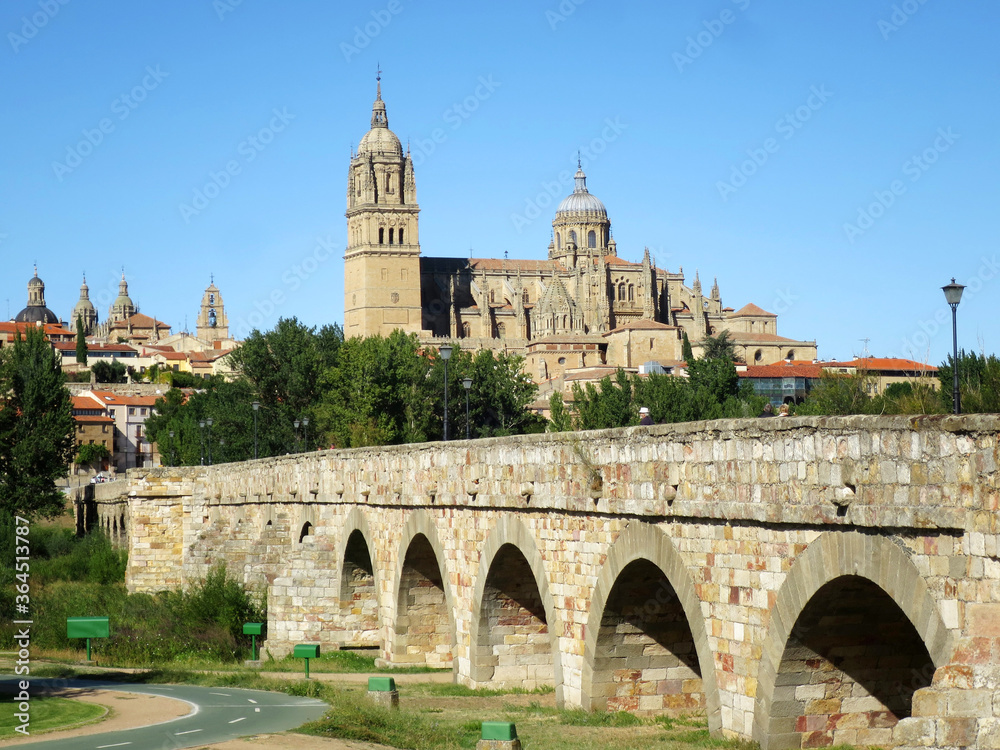 The cityscape of Salamanca historical center with Roman Bridge (Puente Romano) and Cathedral in Salamanca, SPAIN