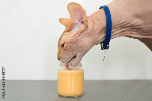 The cat eats baby food