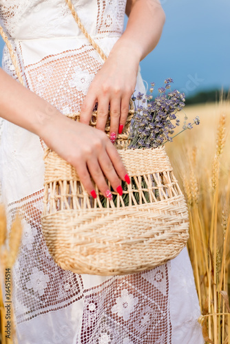 lady in white stands in the wheat field holding wicker basket with lavender flowers