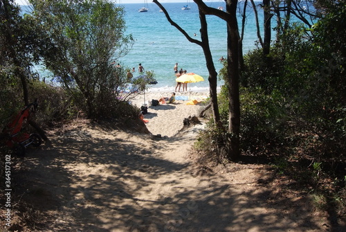 cala violina Castiglione della Pescaia photo