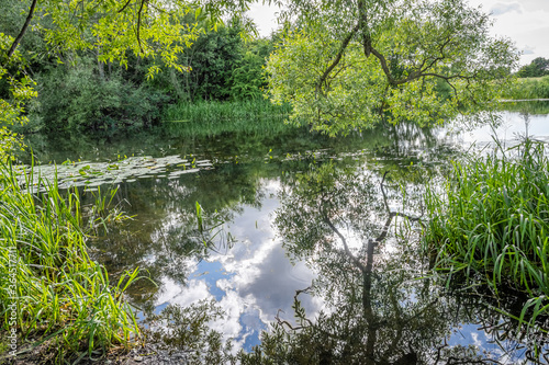 Beautiful murky river floating through a lush, green area. Reflections from trees