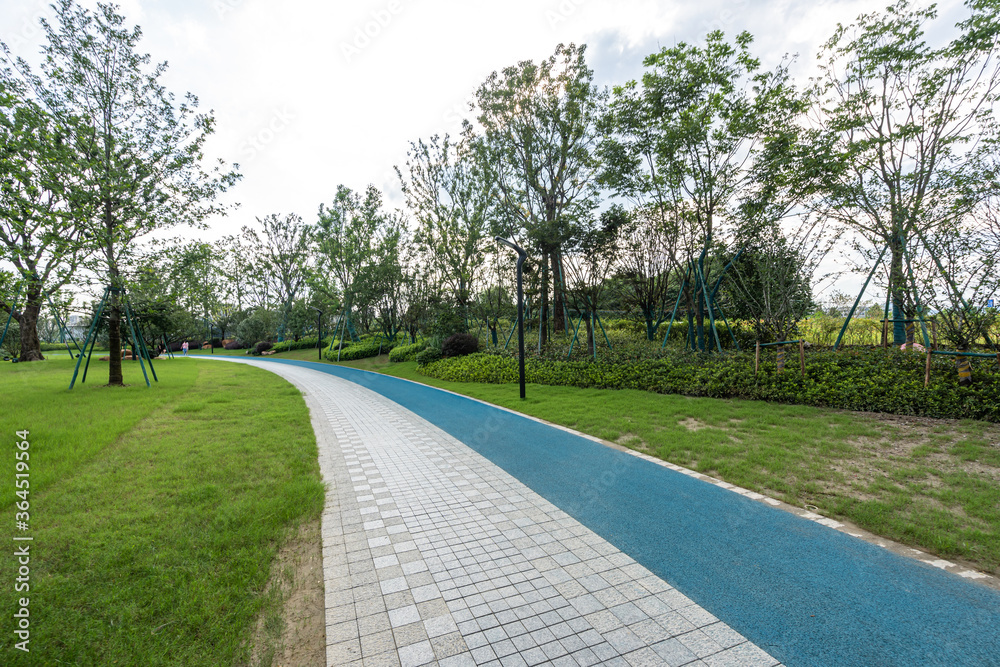 Obraz premium road in park