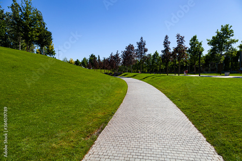 Fototapeta Naklejka Na Ścianę i Meble -  Walkway, lawn and trees in the park