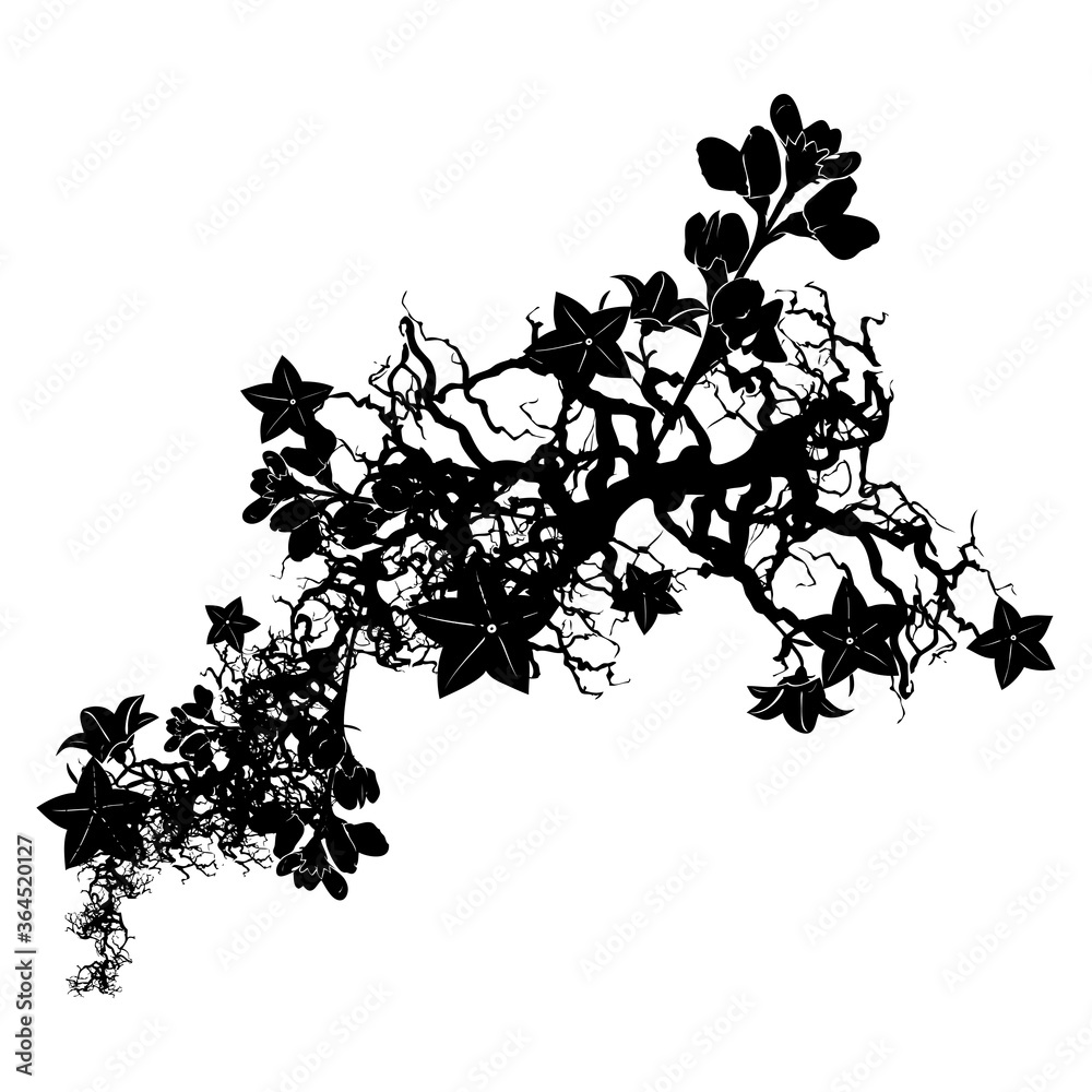 Naklejka premium Vector floral silhouette vector design element