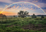 Rainbow over a meadow in the spring