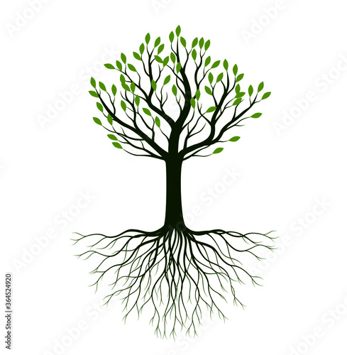 Summer Tree. Vector outline Illustration. Plant in Garden. EPS file