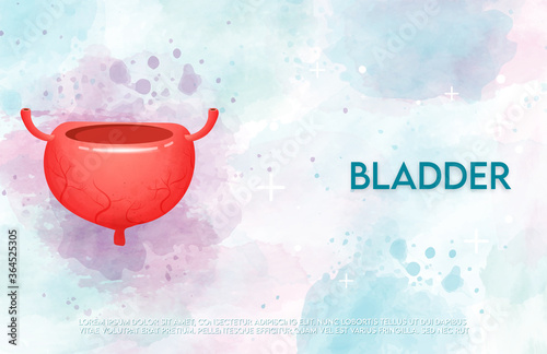 Human bladder and treatment watercolor style. A concept hospital for wallpaper and web.