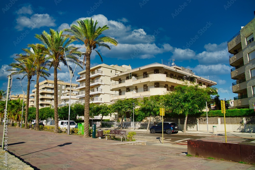 Palm trees in barcelona spain. Barcelona's empty promenade without people on a bright sunny day