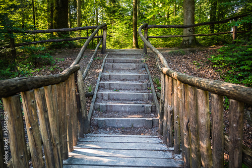 The staircases in the park surrounded by trees
