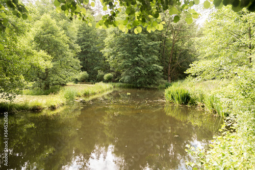 Bockmu  hlenteiche im Zeitzgrund bei Hermsdorf Thu  ringen