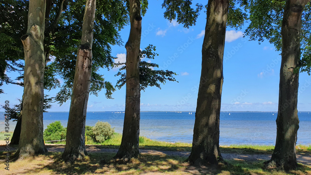 Blue sea and sky between trees. Nature landscape. Blue sea and sky between trees. Nature landscape.