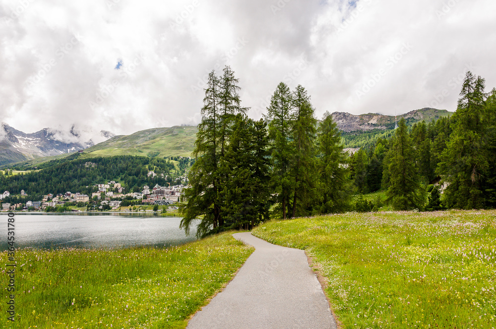 Fototapeta premium St. Moritz, St. Moritzersee, Wanderweg, Oberengadin, Alpen, Piz Julier, Corviglia, Stazerwald, Bergblumen, Wiese, Graubünden, Uferweg, Seeufer, Wassersport, Malojawind, St. Moritz Bad, Sommer, Schweiz