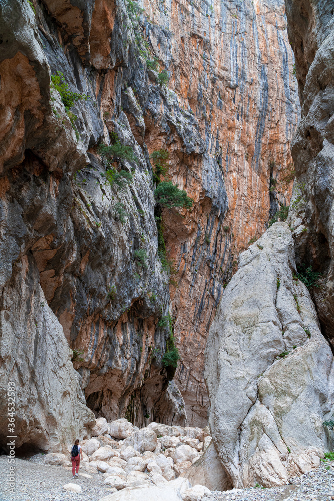 A woman is walking between the red rocks of the canyon Gorropu in Urzulei, Sardinia A woman is walking between the red rocks of the canyon Gorropu in Urzulei, Sardinia