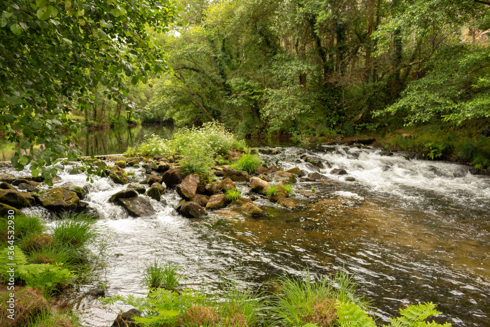 The Neiva River flowing gently through woodland landscape at Alvaraes in Viana do Castelo, Portugal.
