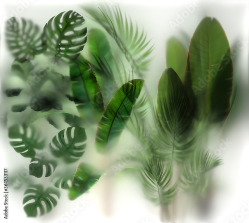 Cuadro en lienzo Plants behind the Glass with backlight, 2