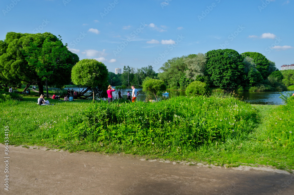 Summer green garden with lots of flowers. Beautiful summer landscape landscape park. Nature for background on postcard. St. Petersburg, Russia, July 19, 2017