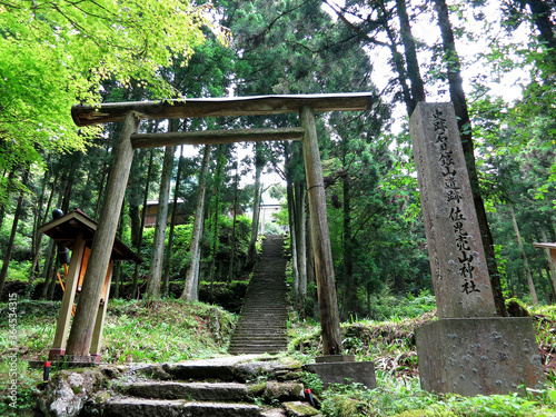 The torii gate of Sahimeyama Shrine (石見銀山佐毘売山神社) inside the 