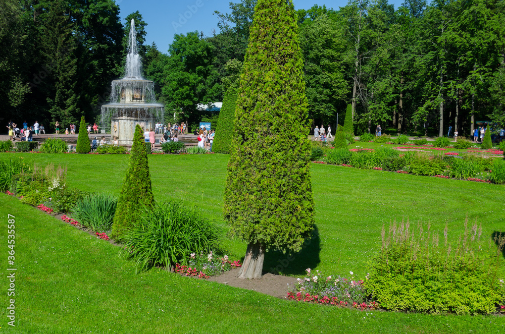 Green garden with grass. Summer courtyard with lawn. Beautiful summer landscape landscape park. Nature for background on postcard. Park in Peterhof, St. Petersburg, Russia, July 23, 2017