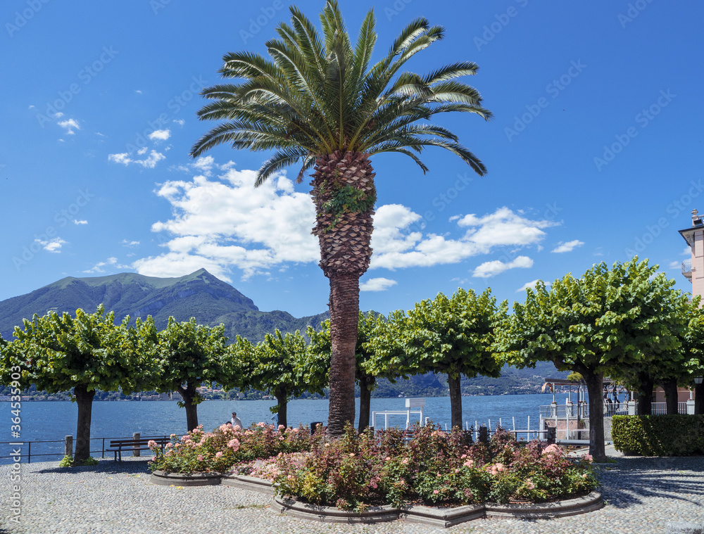 flowered square with trees on Bellagio's lakeside promenade, Como Lake. Italy