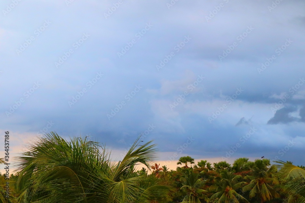 natural blue sky with bright and dark clouds and coconut trees, palm trees and fields under the sky