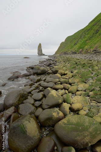 stones on the beach