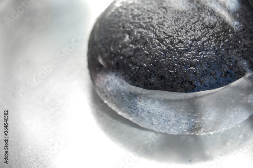 Black konjac  sponge in water. Facial massage and exfoliating beauty accessory.