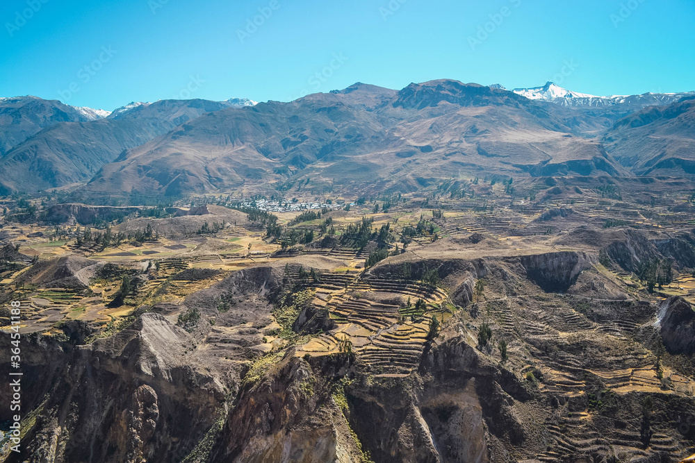 Fototapeta premium Cañon del colca uno de los cañones mas profundos del mundo.