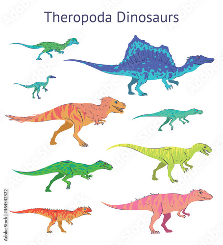 Set of theropoda dinosaurs. Colorful vector illustration of dinosaurs isolated on white background. Side view. Theropods. Proportional dimensions. Element for your desing  blog  journal.