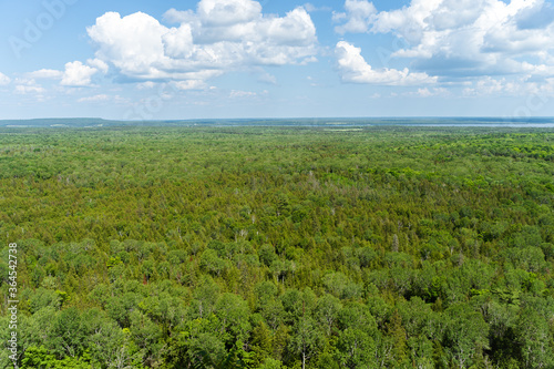 Aerial view of a forest in Manitoulin Island