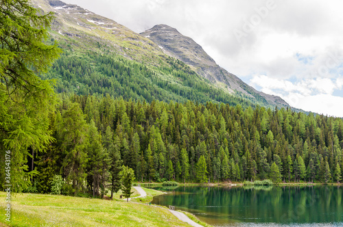 St. Moritz, St. Moritzersee, Wanderweg, Oberengadin, Alpen, Stazerwald, Rosatschgruppe, Bergwiese, Graubünden, Uferweg, Seeufer, Malojawind, Sommer, Schweiz photo