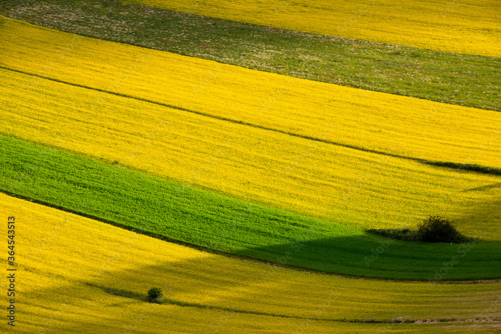 Agricultural valley with colorful fields in summer