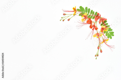 Φωτογραφία Flowers composition