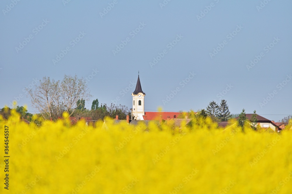 Landschaft mit Rapsfeld und Kirchturm in Ungarn