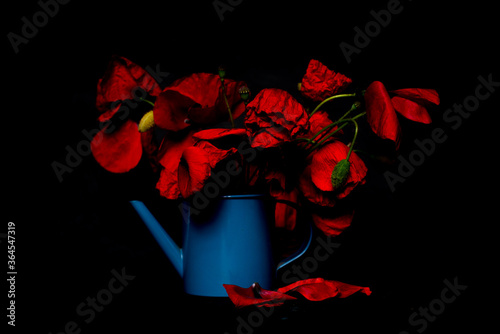 Still life in a rustic style: an old blue pot and a bouquet of red poppies on a black background. Red poppies isolated on a dark background. Copy space. Still ilfe. photo