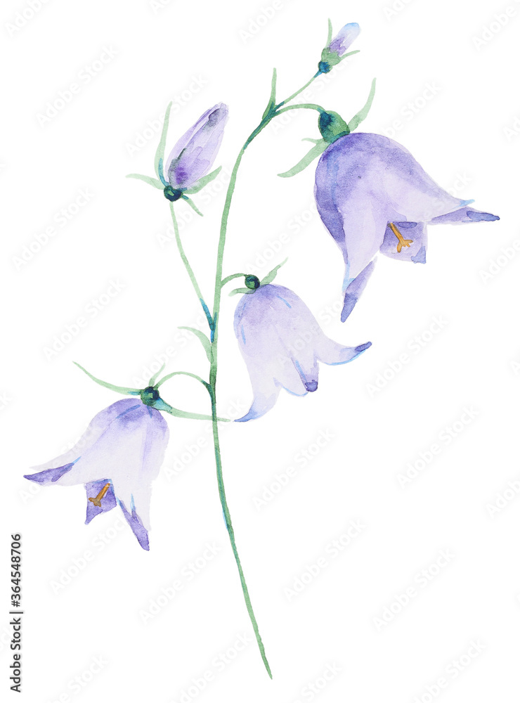 Obraz premium Red clover flower