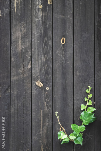 Natural oak wood background. Old floor wooden pattern. Timber plank surface wall for vintage grunge wallpaper. Dark grain panel board table with copy space. Abstract desk Natural concept.